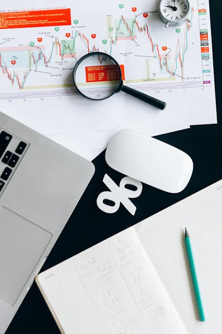 Sayres Consulting: programs